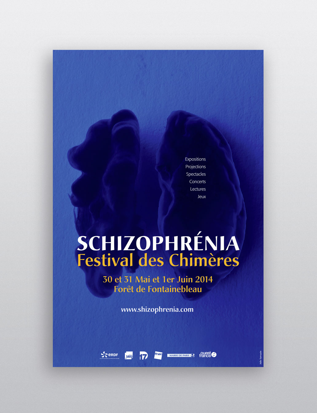 Visuel de l'affiche du festival Schizophrénia composée d'une photographie d'un cerveau dans les (...)