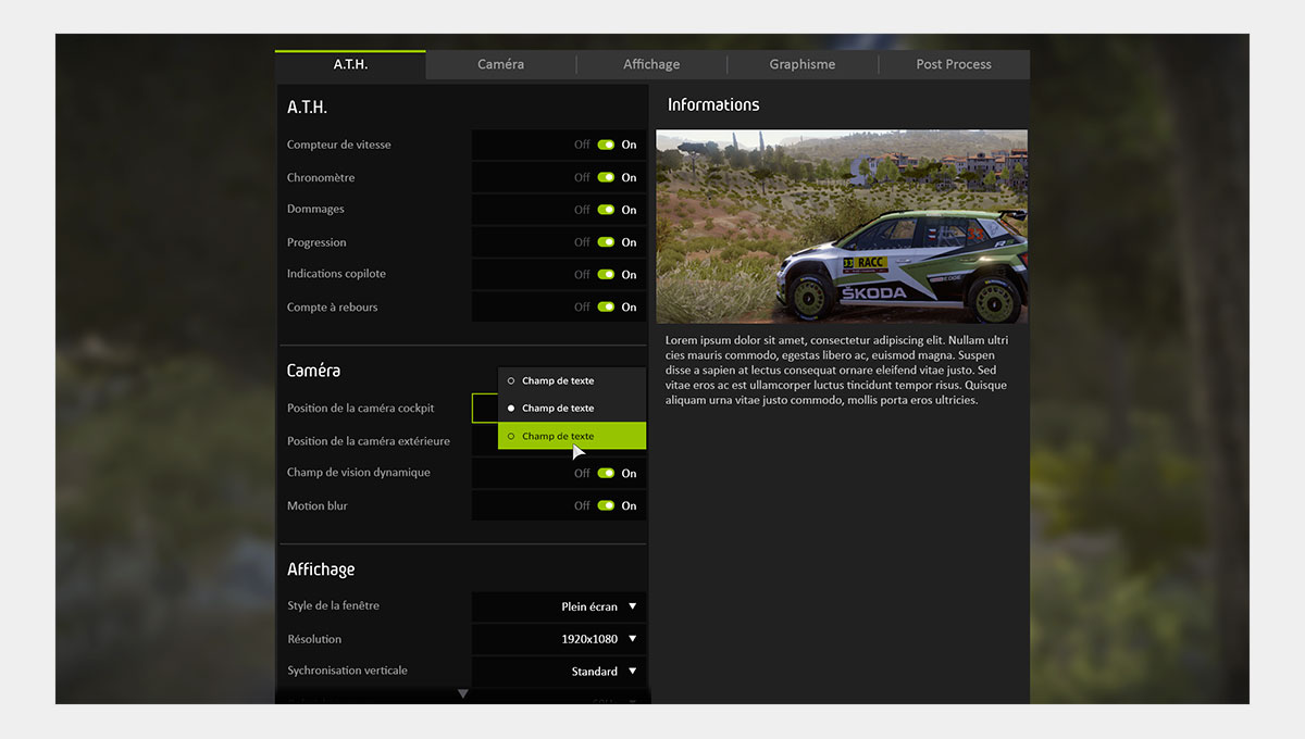 La maquette du menu des options de WRC 8 avec une image et une description détaillant chaque (...)